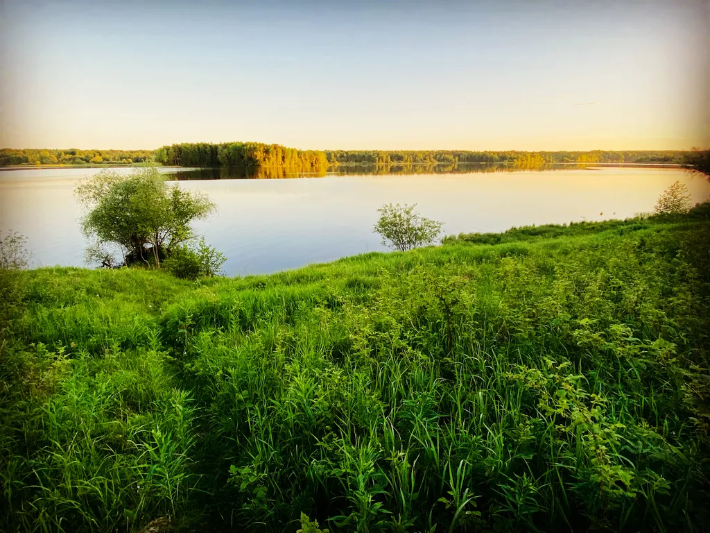 АРХ дача ШИР