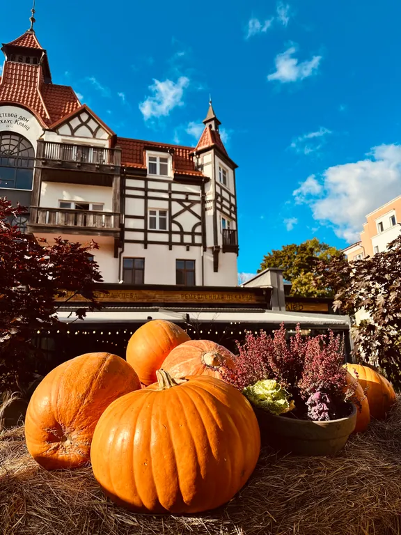 Квартира Квартира "Тихий Час" у Моря - забудь о суете — Зеленоградск