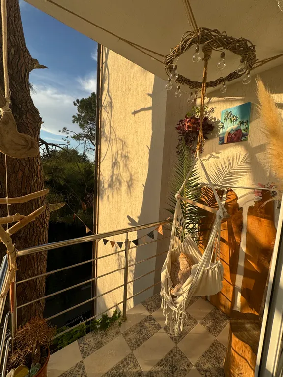 Квартира Квартира Студия с видом на сосну в бамбуковой роще — Сириус