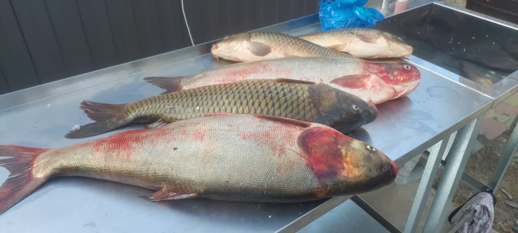 Домик для рыбалки в Астрахани