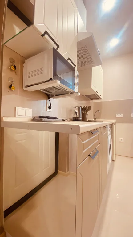 2-комнатная Евродушка на Зеленой