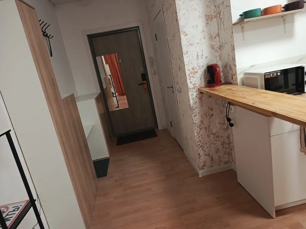 Студия близ аэропорта толмачево