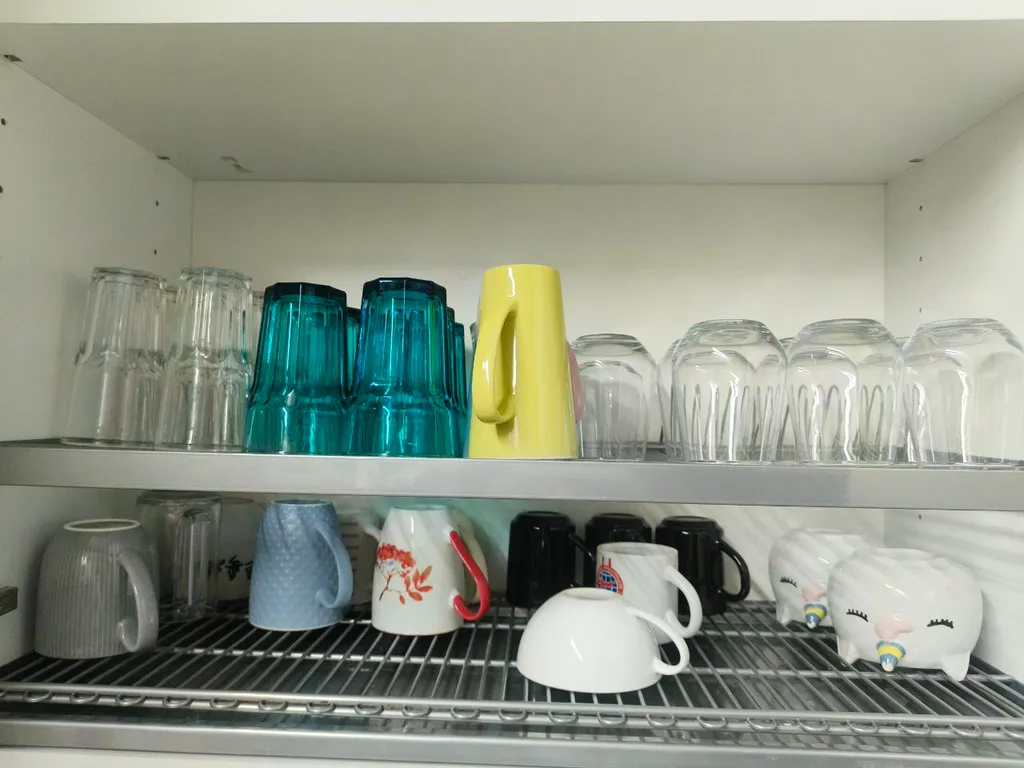 Солнце Севера