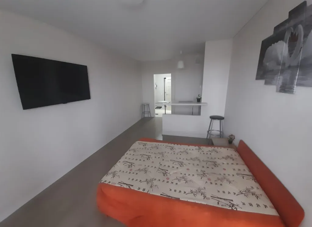 Уютная квартира-студия