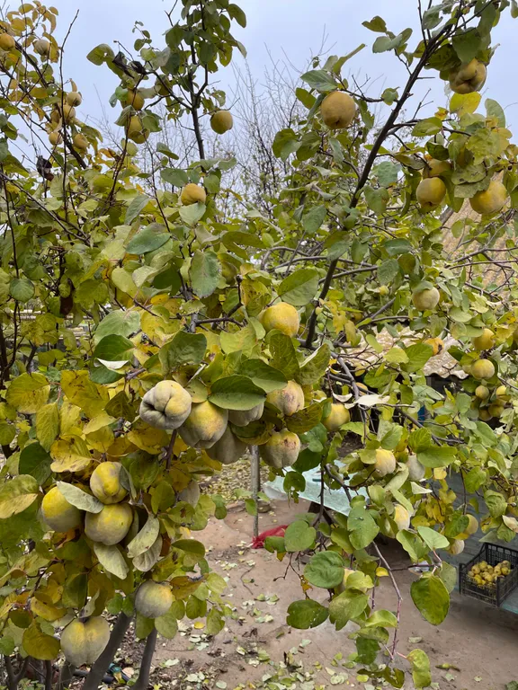 Дом для рыбалки и отдыха