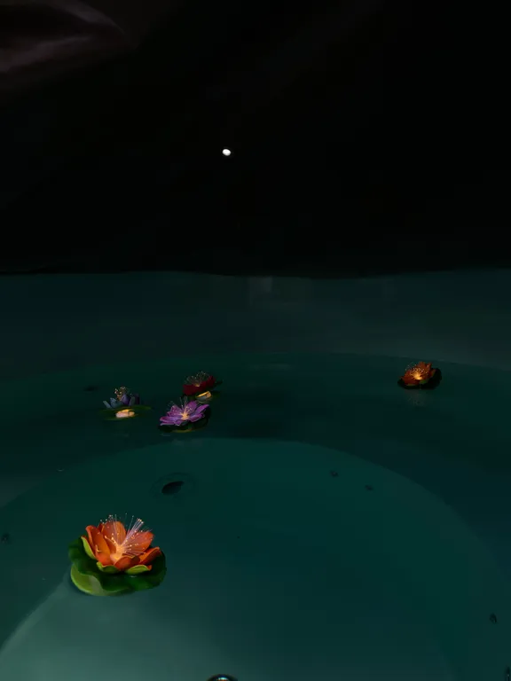 Дом гжельский лес, рядом с рыбалкой