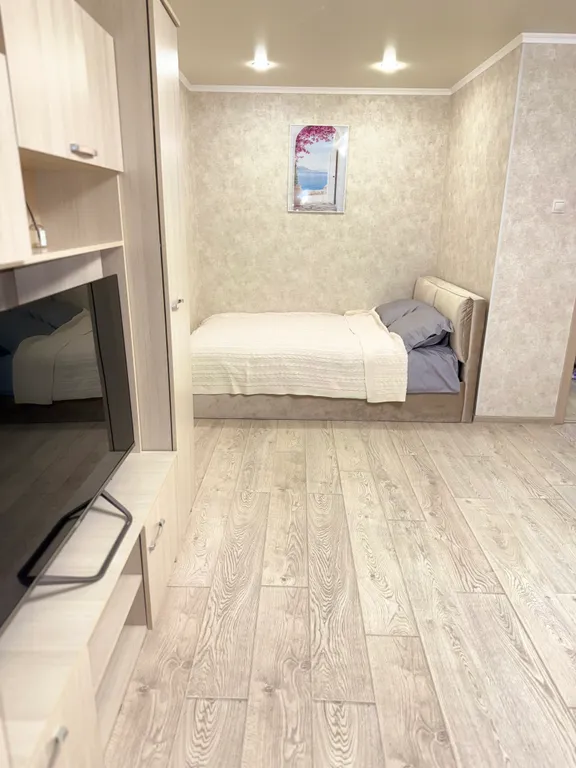 Уютная квартира с новым ремонтом и мебелью в центре