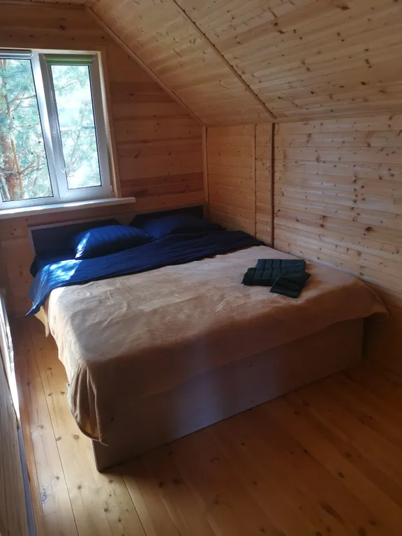 Dream Forest & River PZ