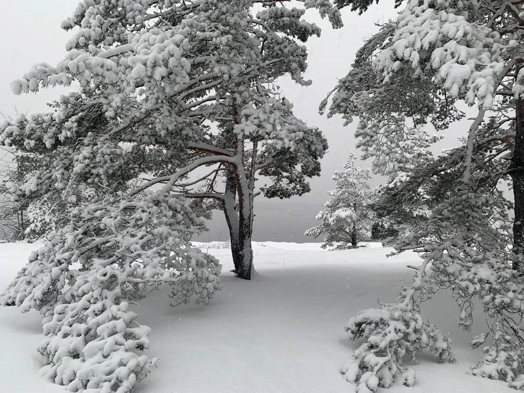 Коттедж Коттедж Семейный отдых на берегу Финского залива. — Санкт-Петербург