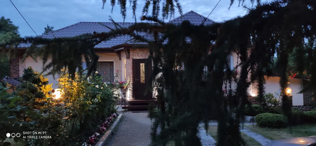 Дачная студия