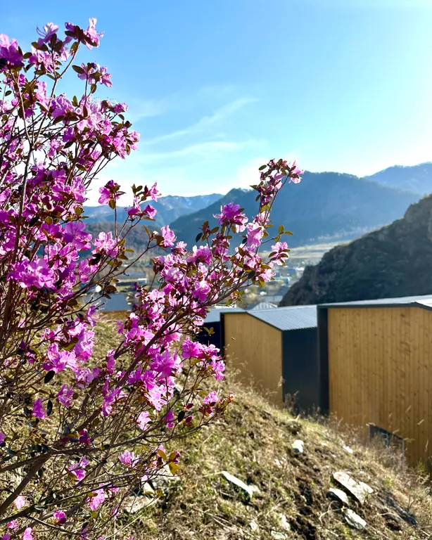 Дом-барнхаус с личными террасами