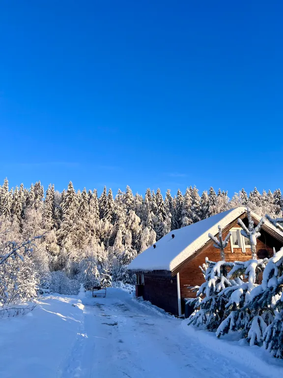 Коттедж с 3 спальнями, сауной, с видом на лес