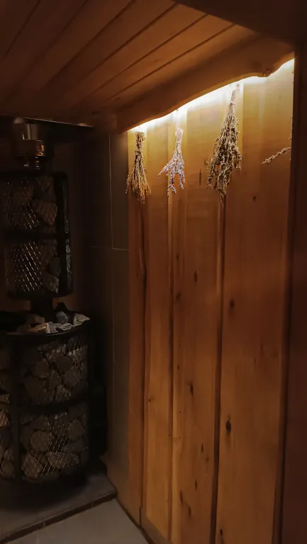 Дом у леса с банным чаном и баней