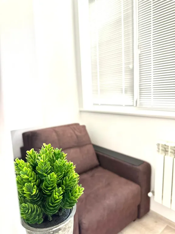 Уютная однокомнатная квартира