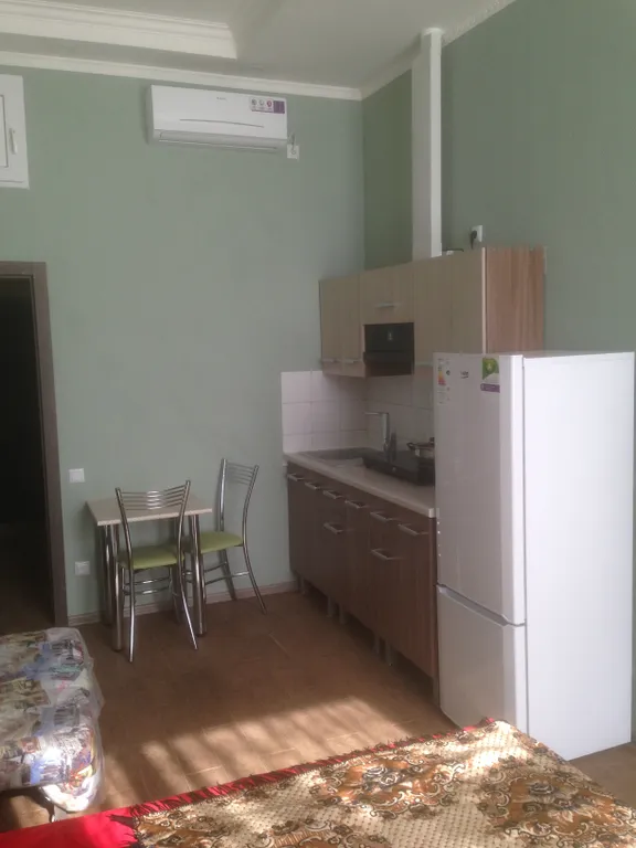 Студия в историческом здании Царский гараж