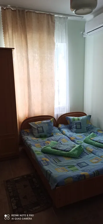 Сосновый бор