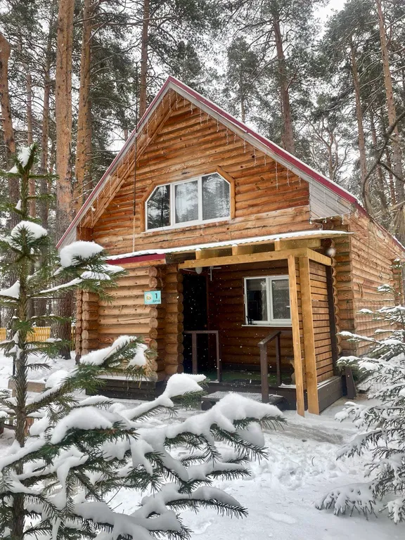 Уютный коттедж в лесу