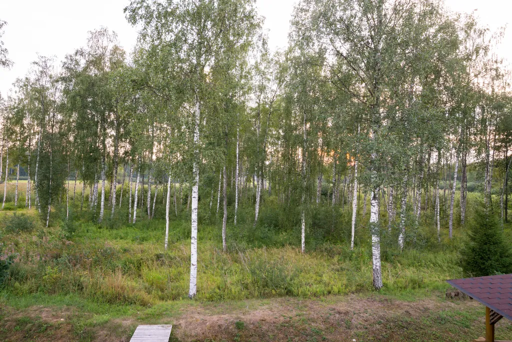 Коттедж Комфортабельный коттедж с сауной — Беличье