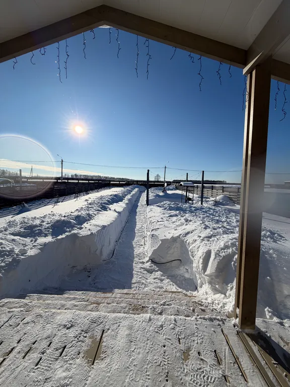 Дом на Острове