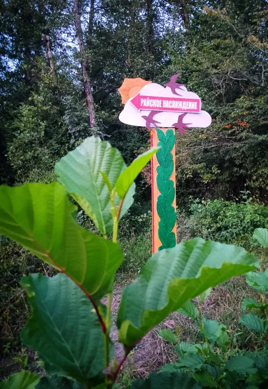 Новый дом в заповедных горах Лоо