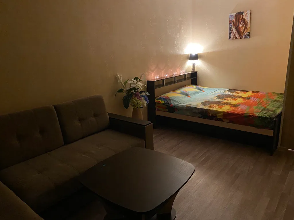 Однокомнатная квартира в Первомайском районе ТЦ Северное Нагорное