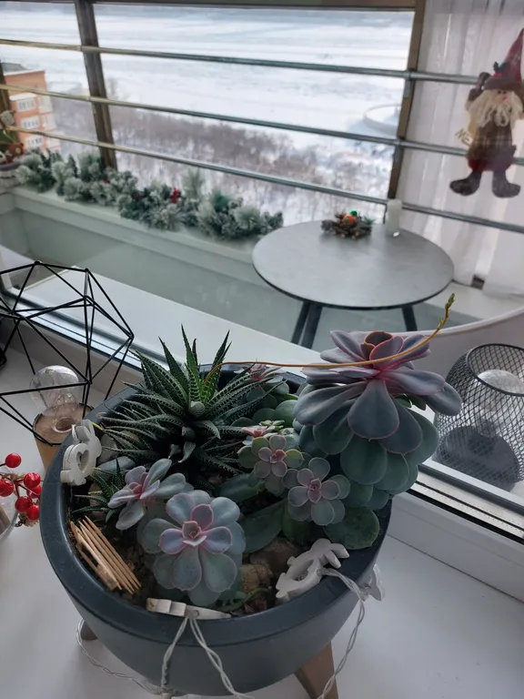 Уютная квартира с джакузи и с видом на Китай и реку Амур