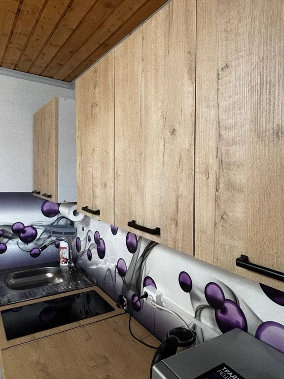 Домик у Букши