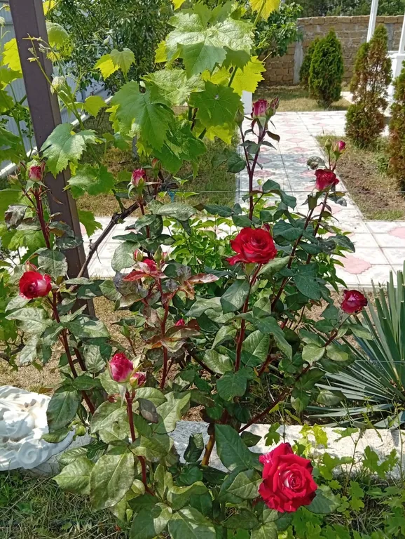 Уютный дом у моря