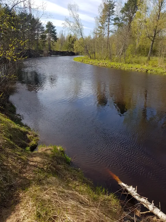 Коттедж Уютный домик на берегу реки — Лодейное Поле