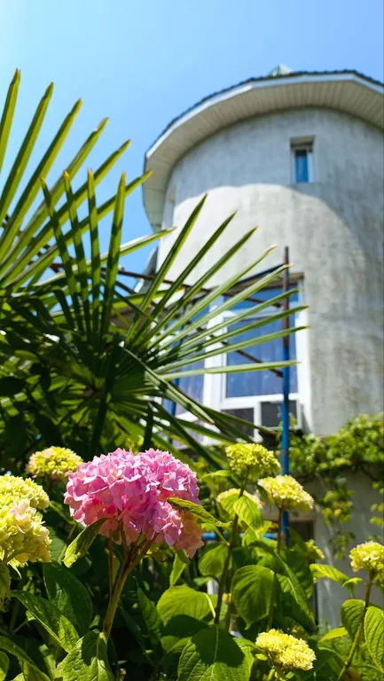 Уютная квартира-студия в шаге от моря — аренда посуточно в Вардане