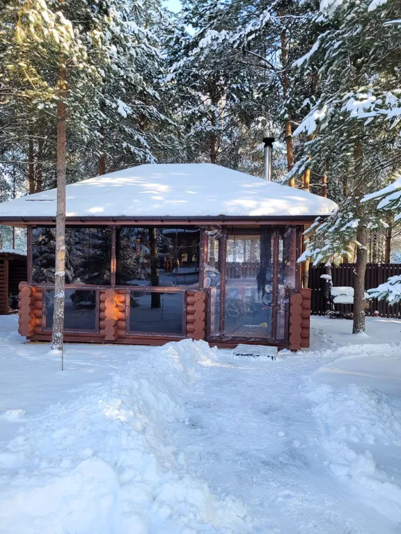 Дом в сосновом лесу