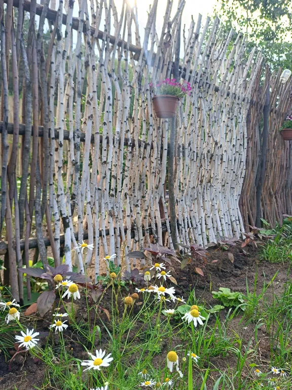 Темный домик на опушке леса