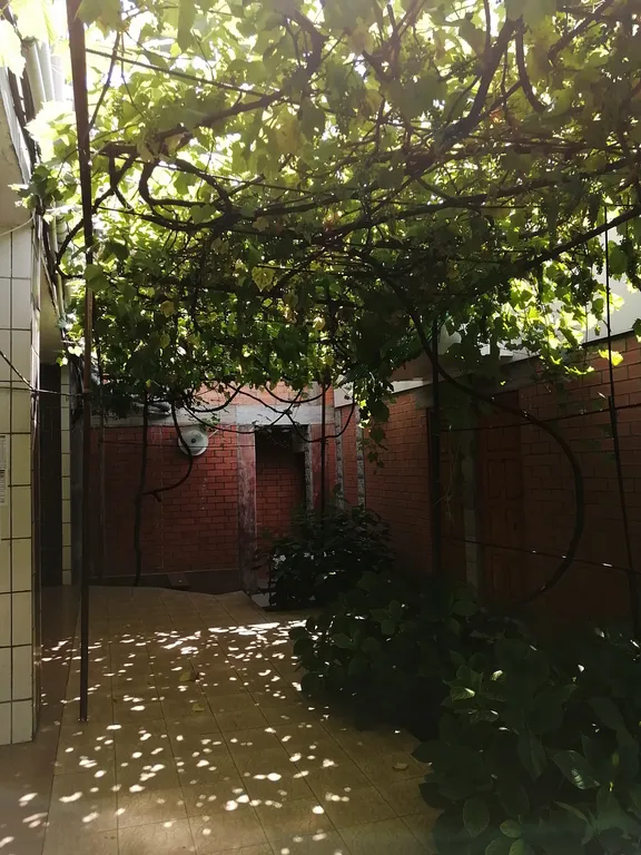 Квартира Комната — Лазаревское