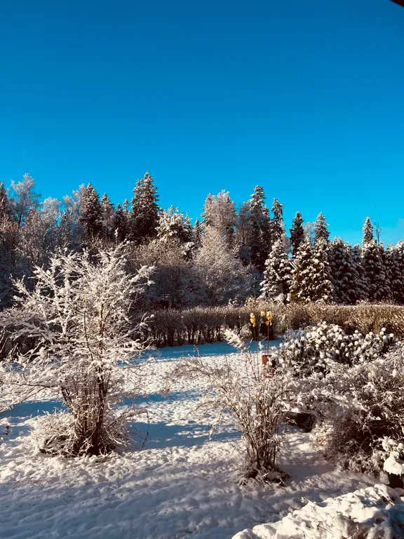 Коттедж 2-комнатный Дом — Раково (г/о Солнечногорск)