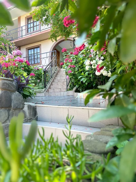 Квартира Комната — Лазаревское