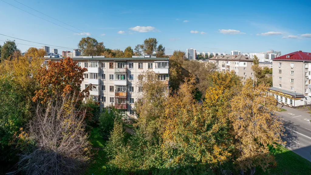 Студия Индиго