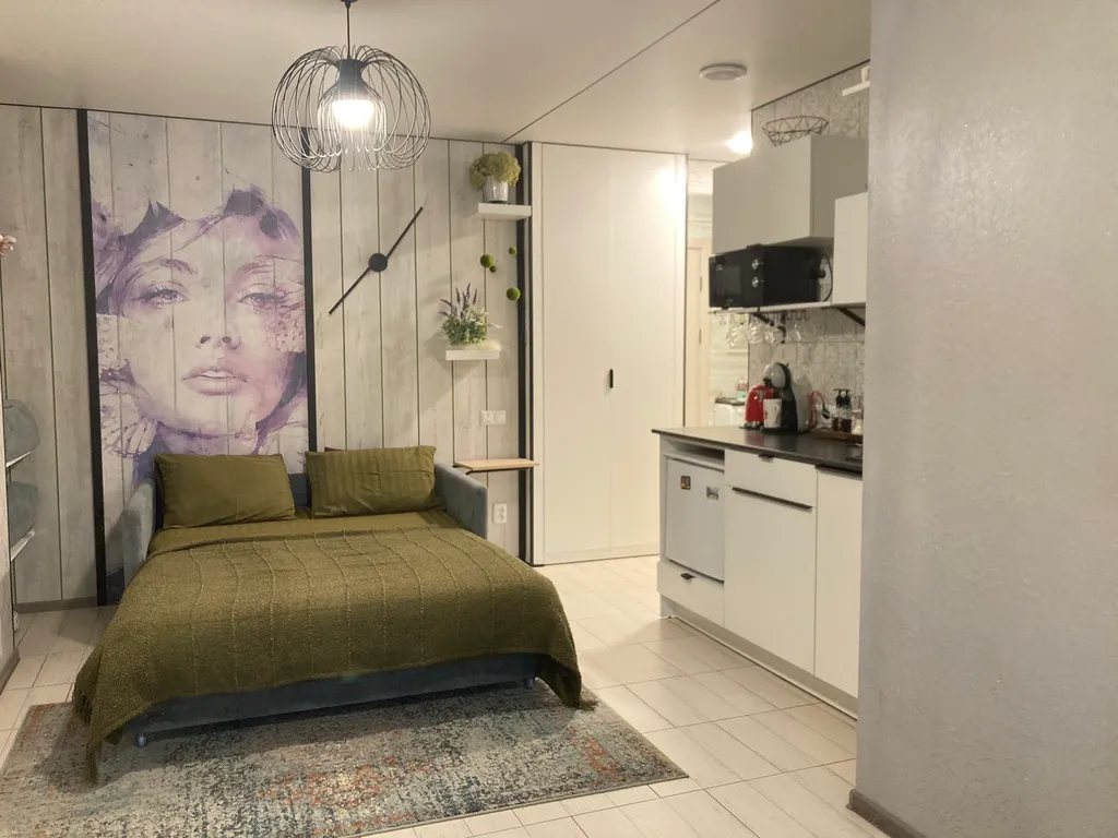 VIP квартира в центре с видом на Коллегиум