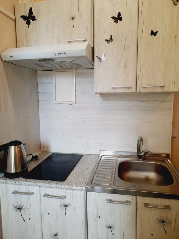 Апартаменты близко Москва и аэропорт Домодедово