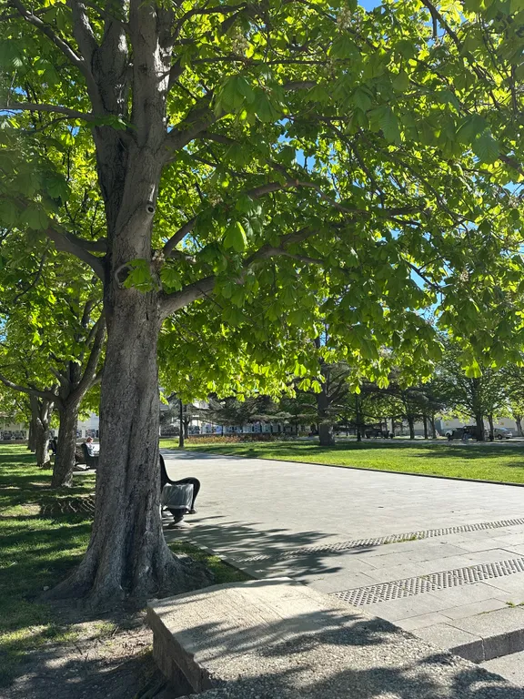 Апартамент на центральной горке