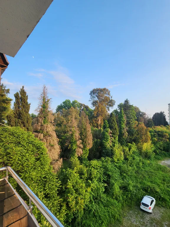 Уютная квартира возле моря