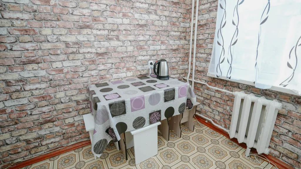 Econom Bagira, просторная однушечка в центре