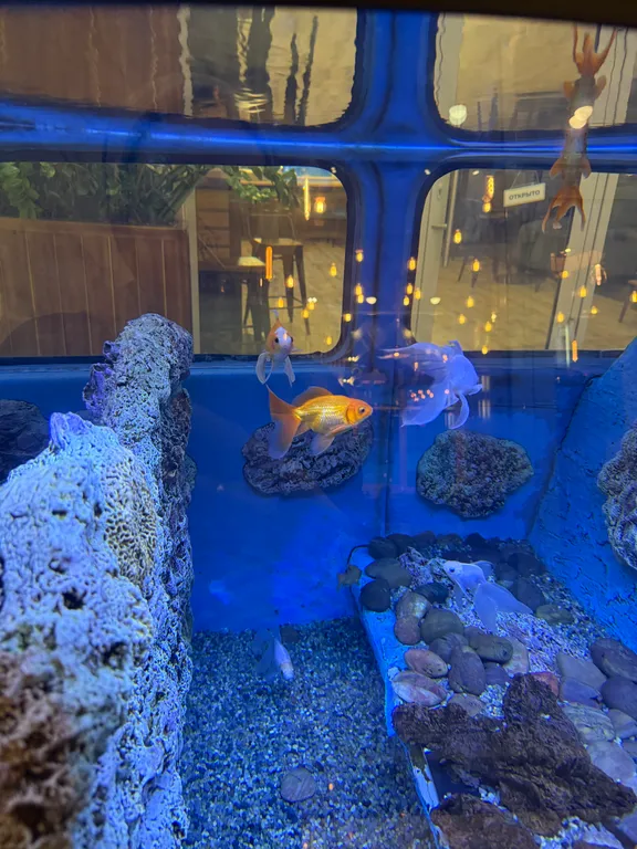 Апартаменты в центре