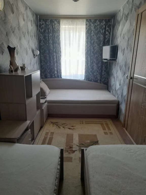 Апартаменты с видом на берёзовый лес