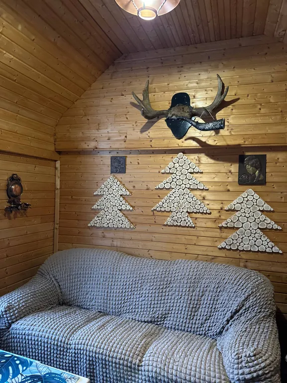 Дом в Карелии с печью-камином и видом на лес