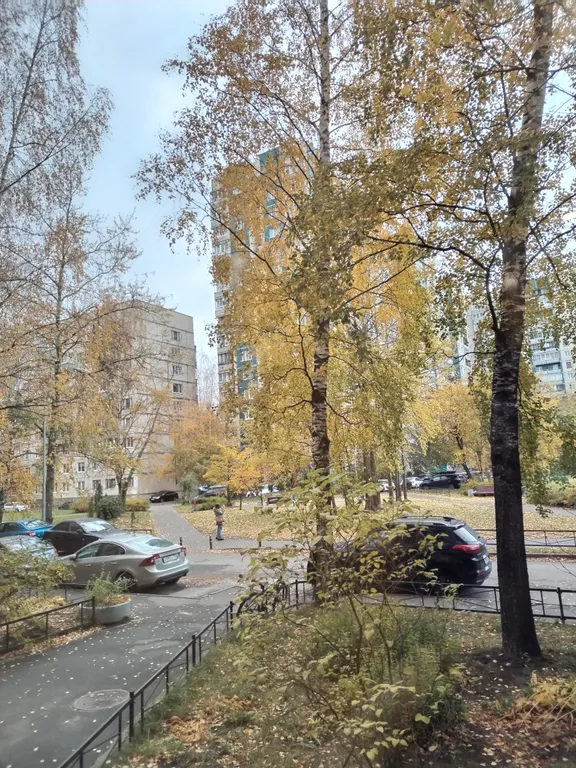 Квартира Квартира Уютная студия в Приморском районе рядом с метро — Санкт-Петербург