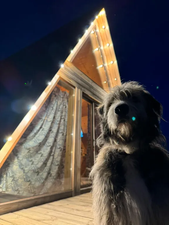 Дом грёз Тихое место