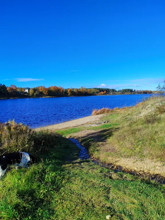 Уютный дом на берегу реки Великой