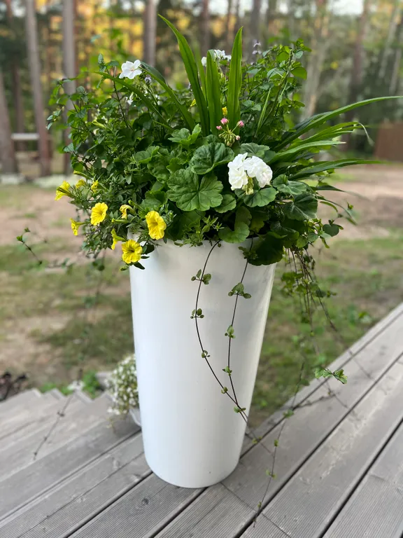 Стильный дом на берегу Ладожского озера с панорамным видом