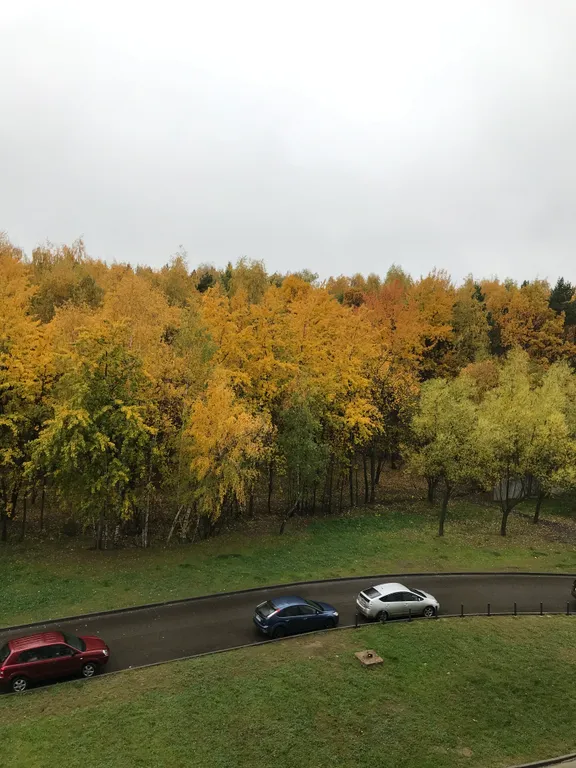 Уютная студия с отличным ремонтом