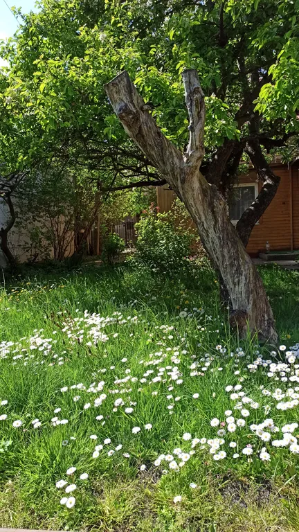 Коттедж Часть дома у Балтийского моря — Зеленоградск